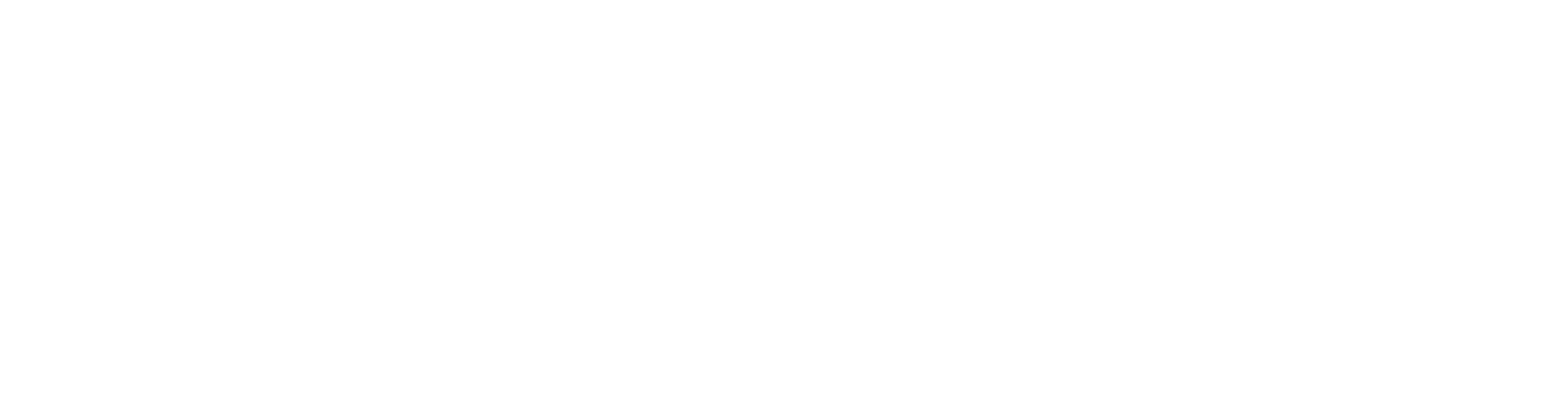 AeroBrazil_Charter_(3)