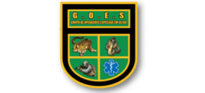 imgi_53_G.O.E.S-300x136